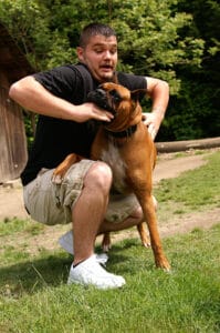 Deadly Force Apply Animal Attacks