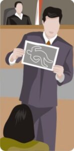 Visual Aids Using Pictures in Court