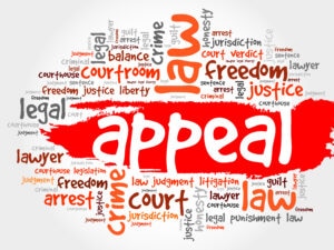 I Want to Appeal the Trial Court’s Order or Conviction or Sentence - Can I?