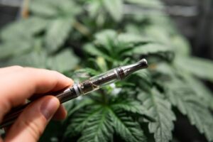 Can Marijuana Use Cause Me To Lose Custody Of My Child?